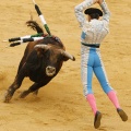 Magdalena 2014
