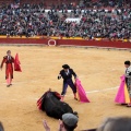 Feria de la Magdalena 2014