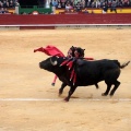 Feria de la Magdalena 2014