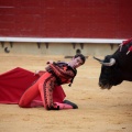 Feria de la Magdalena 2014