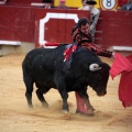 Feria de la Magdalena 2014