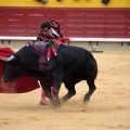 Feria de la Magdalena 2014