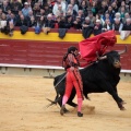 Feria de la Magdalena 2014