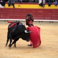 Feria de la Magdalena 2014