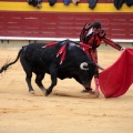 Feria de la Magdalena 2014