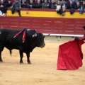 Feria de la Magdalena 2014