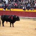 Feria de la Magdalena 2014