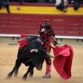 Feria de la Magdalena 2014