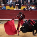 Feria de la Magdalena 2014