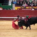 Feria de la Magdalena 2014