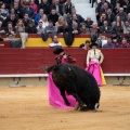 Feria de la Magdalena 2014