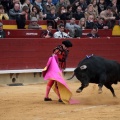 Feria de la Magdalena 2014