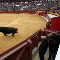 Feria de la Magdalena 2014