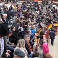 Feria de la Magdalena 2014