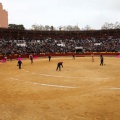 Feria de la Magdalena 2014