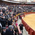 Feria de la Magdalena 2014