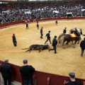 Feria de la Magdalena 2014