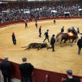 Feria de la Magdalena 2014