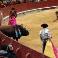 Feria de la Magdalena 2014