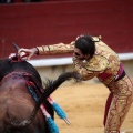 Feria de la Magdalena 2014