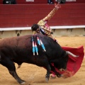 Feria de la Magdalena 2014