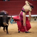 Feria de la Magdalena 2014