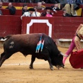 Feria de la Magdalena 2014