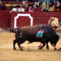 Feria de la Magdalena 2014