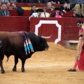 Feria de la Magdalena 2014