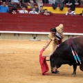 Feria de la Magdalena 2014