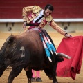 Feria de la Magdalena 2014