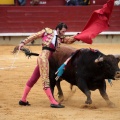 Feria de la Magdalena 2014