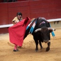 Feria de la Magdalena 2014