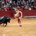 Feria de la Magdalena 2014