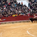 Feria de la Magdalena 2014