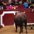 Feria de la Magdalena 2014