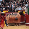 Feria de la Magdalena 2014