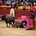 Feria de la Magdalena 2014