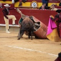 Feria de la Magdalena 2014