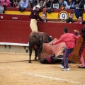 Feria de la Magdalena 2014