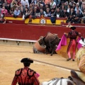 Feria de la Magdalena 2014