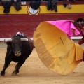 Feria de la Magdalena 2014