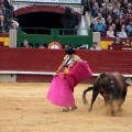 Feria de la Magdalena 2014