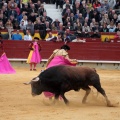 Feria de la Magdalena 2014