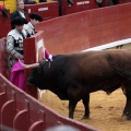 Feria de la Magdalena 2014