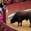 Feria de la Magdalena 2014