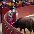 Feria de la Magdalena 2014