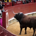 Feria de la Magdalena 2014