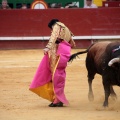 Feria de la Magdalena 2014