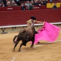 Feria de la Magdalena 2014